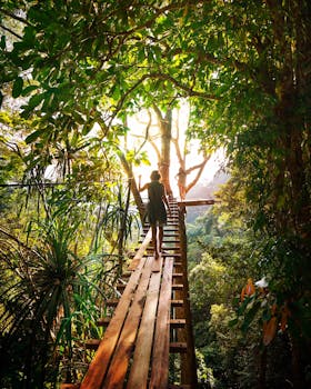 Experience adventure walking on a bridge through Thailand's vibrant green forest.